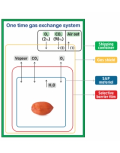Peanut science