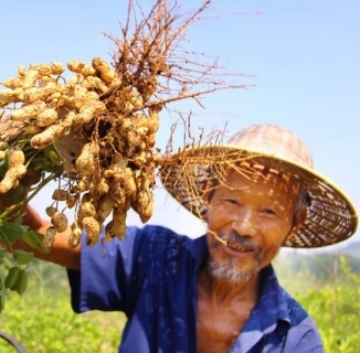 Direct, integrated, and sustainable sourcing