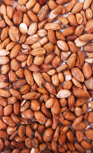 Aflatoxin