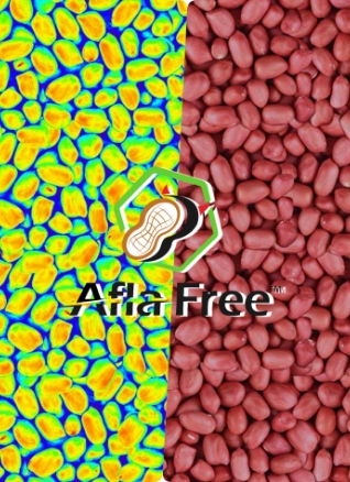 Afla-free benchmark
