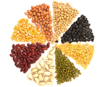 Peanut monoculture decreases yield by up to 25%, whereas rotating with cotton or corn production can increase yield by up to 23%