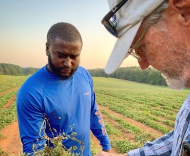 Effective tracing helps us develop precise aflatoxin risk maps, charting where and when it most commonly occurs. As the climate changes, we predict shifting mycotoxin patterns and take precautionary measures.