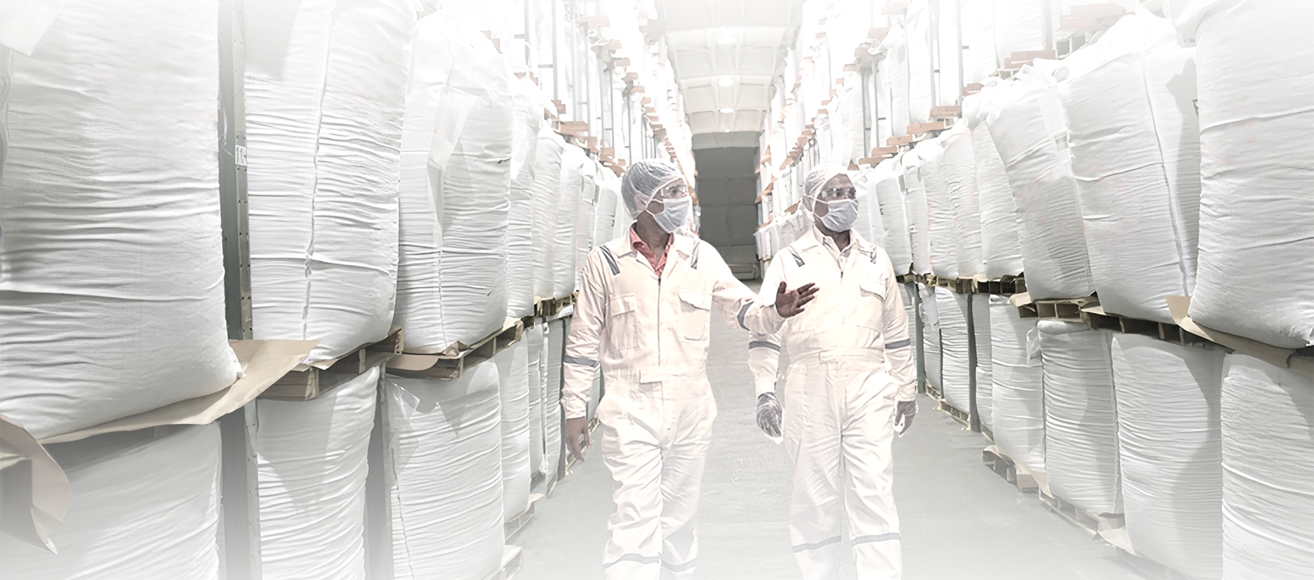 The world’s largest peanut operation