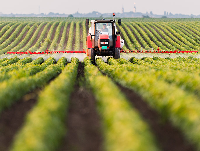 As one of the world’s largest peanut exporters, including of the USA peanut, we take our environmental responsibility seriously.