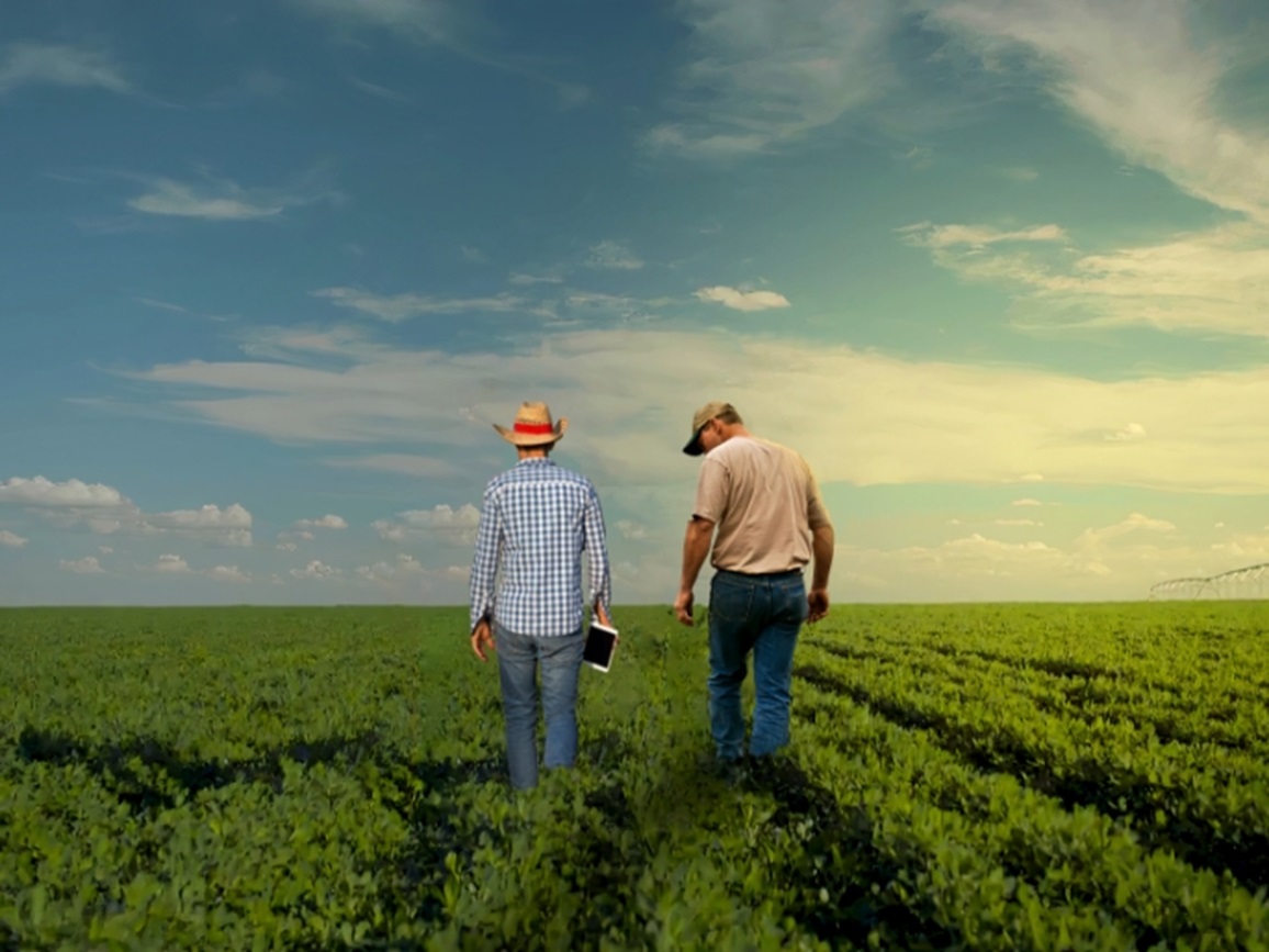 Commercial farming