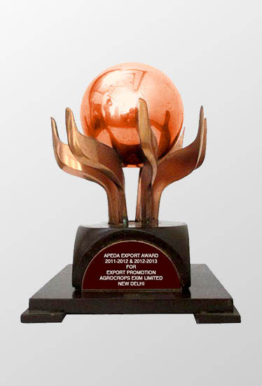 Agrocrops awarded “Bronze Performer” accolade in India’s groundnut export sector, by APEDA