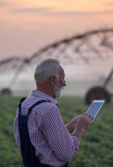 Traceability and food safety SDGs 9, 13, and 15