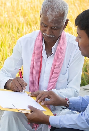 Fairtrade SDG goals 13 and 15