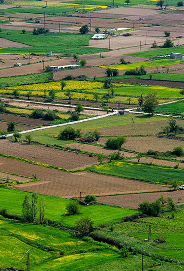 Agrocrops procures land banks across the Southern states to develop peanut belt.