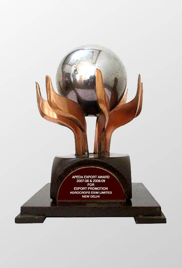 Agrocrops awarded “Silver Performer” accolade in India’s groundnut export sector, by APEDA