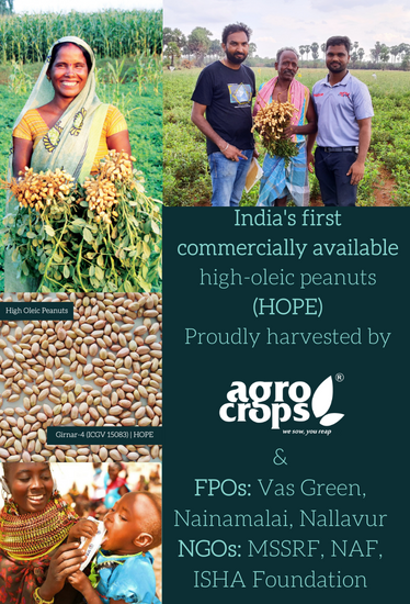 India's First Commercial High Oleic Peanuts: HOPE